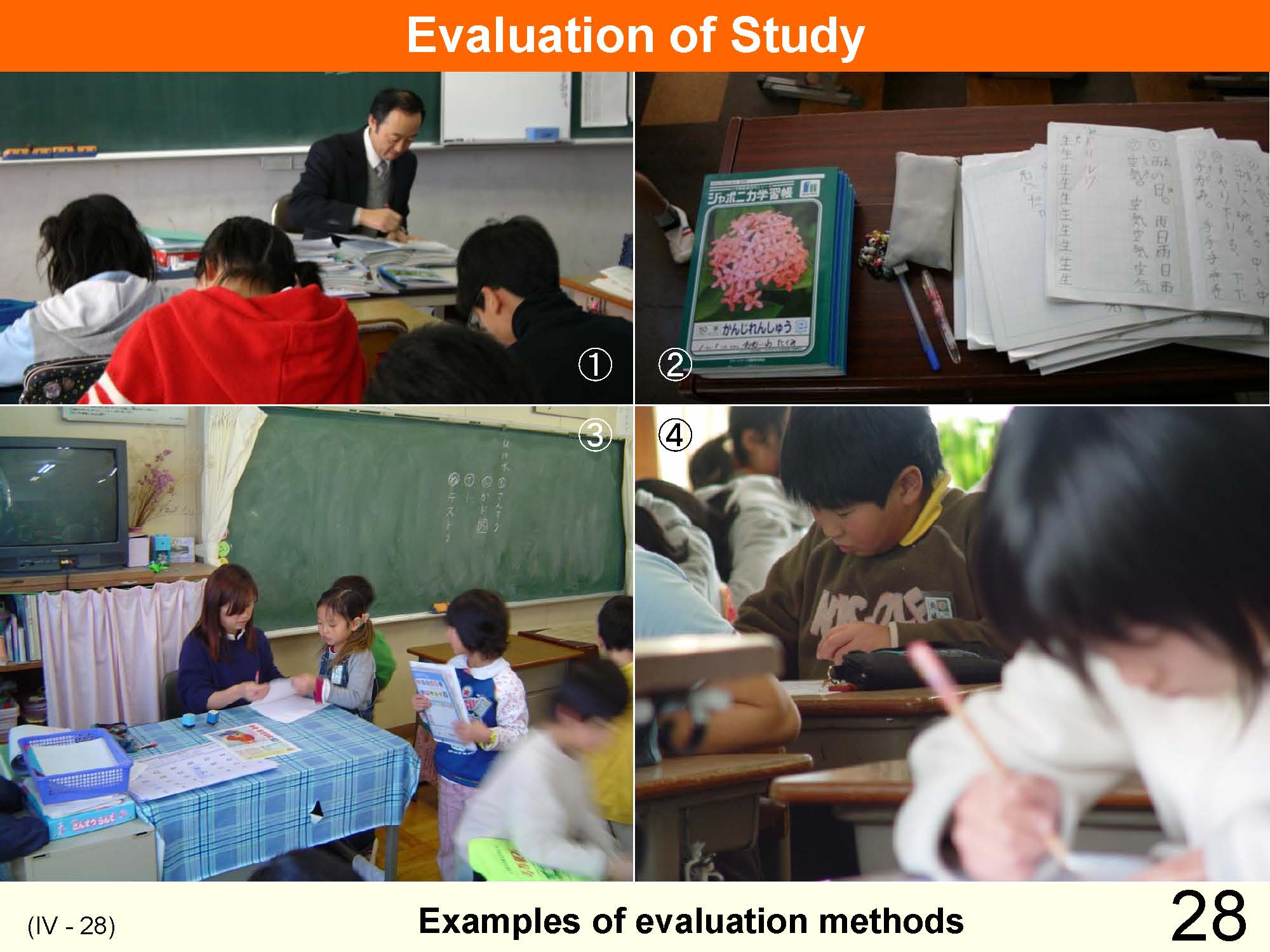 IV Organization and Implementation of Curriculum