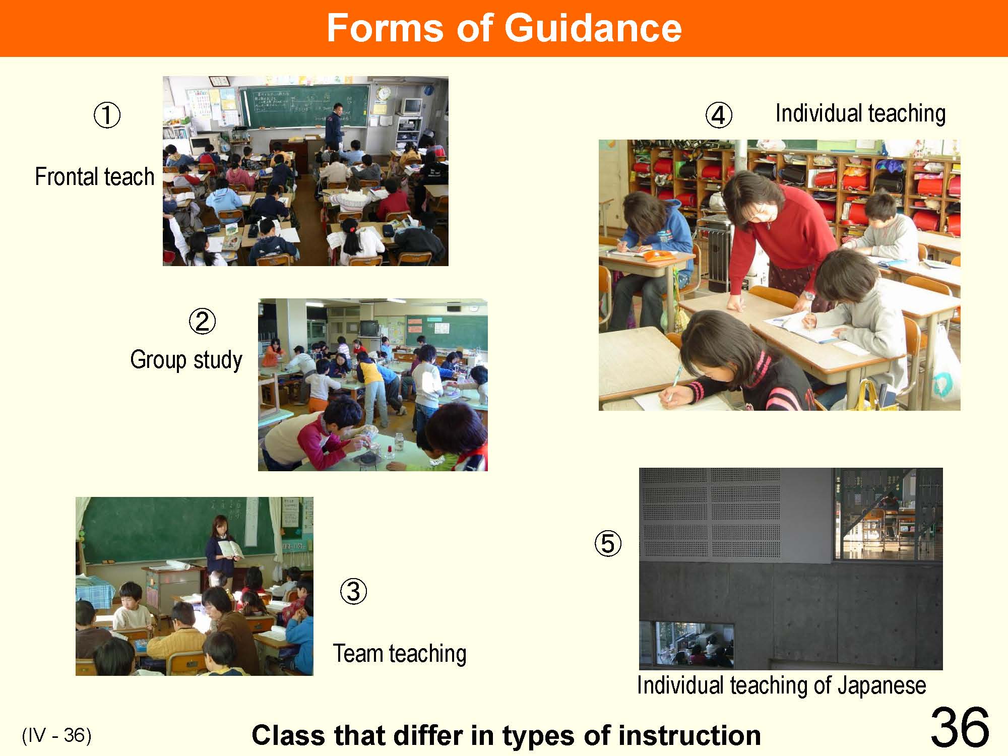 IV Organization and Implementation of Curriculum