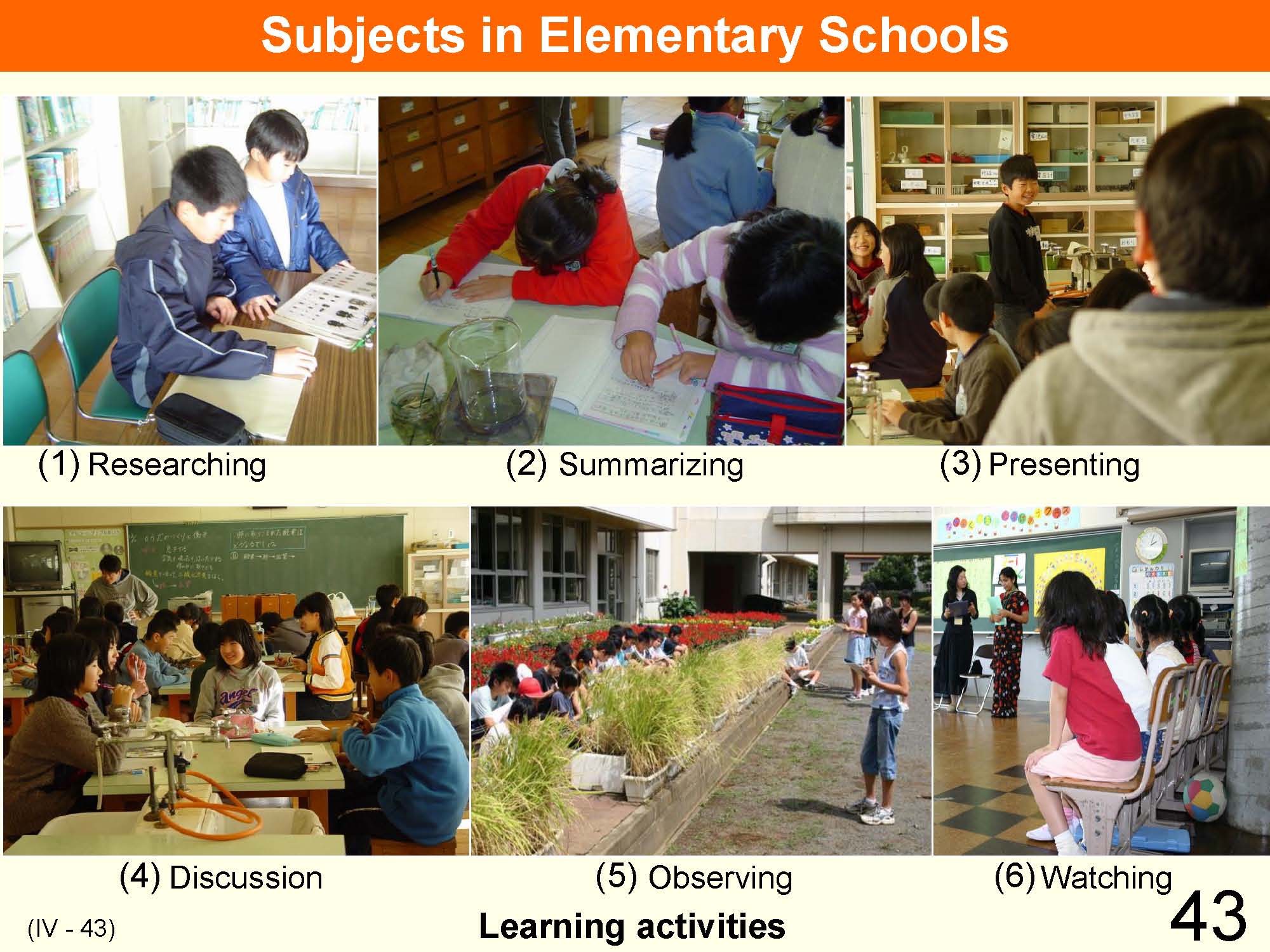 IV Organization and Implementation of Curriculum