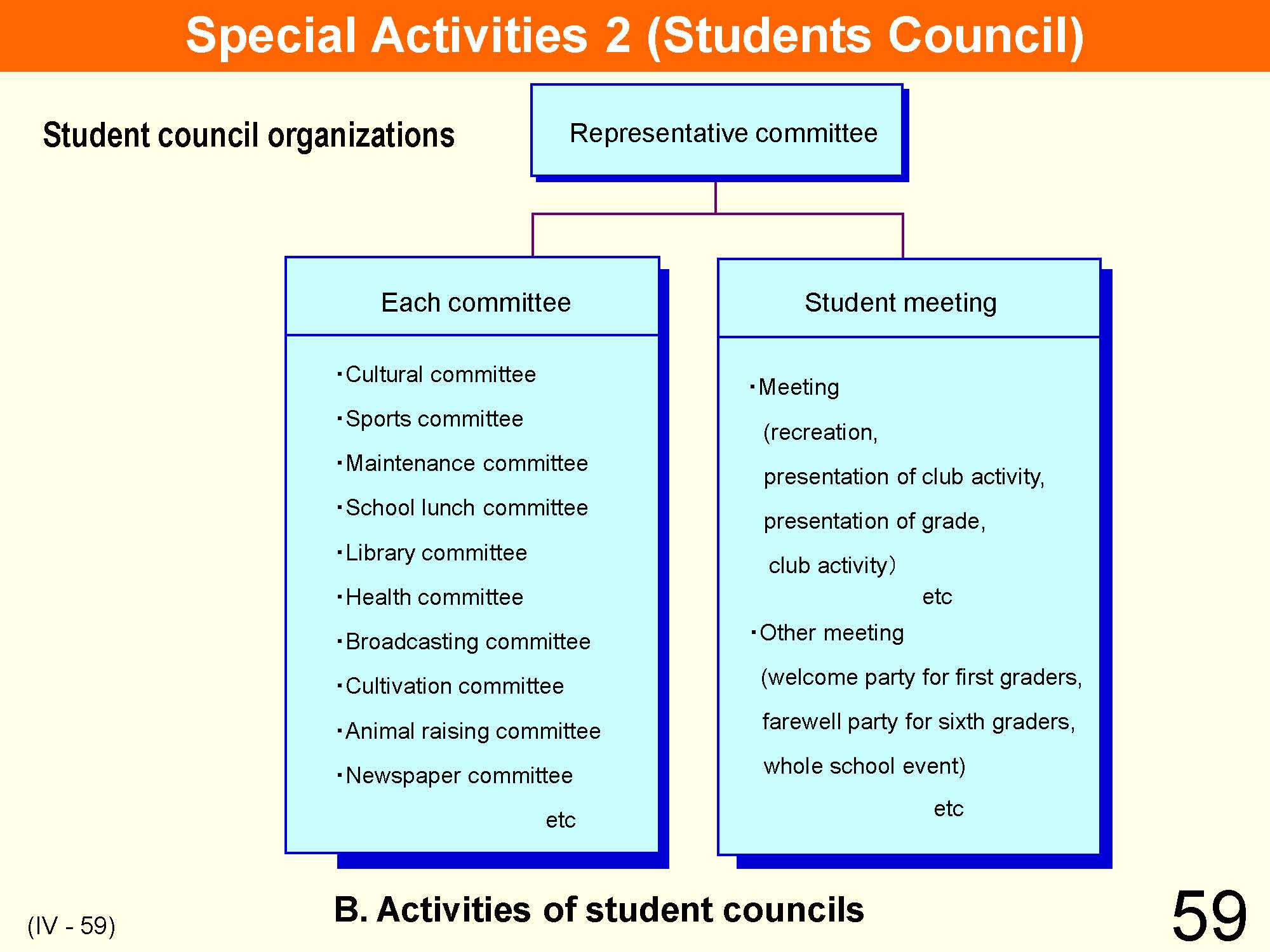 IV Organization & Implementation Curriculum