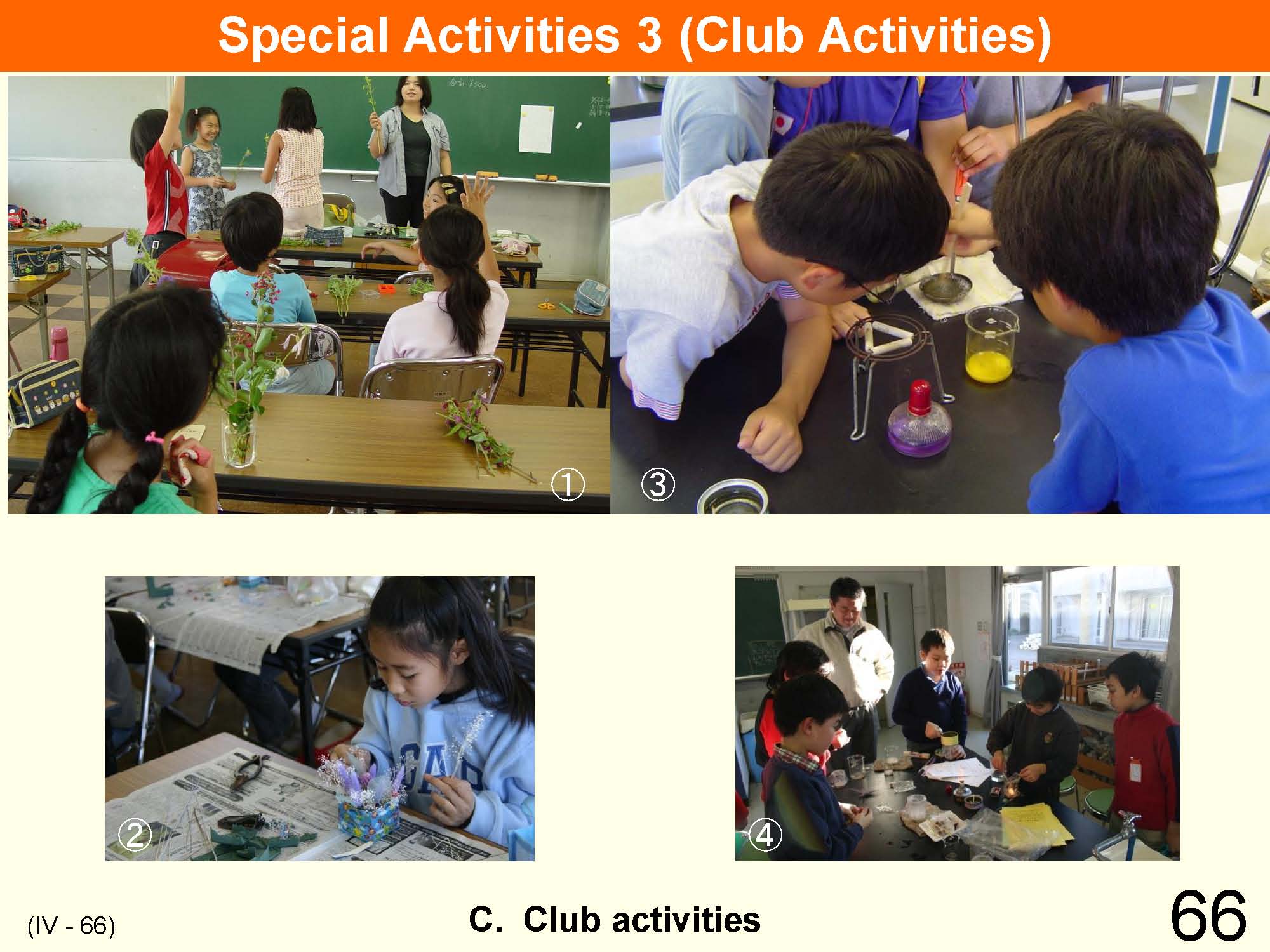 IV Organization and Implementation of Curriculum